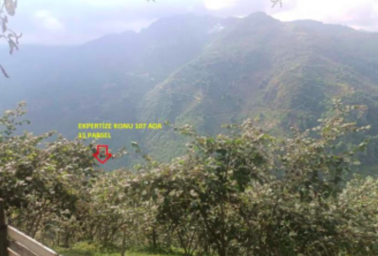 GİRESUN BULANCAK'TA 4.652 M2 SATILIK FINDIK BAHÇESİ